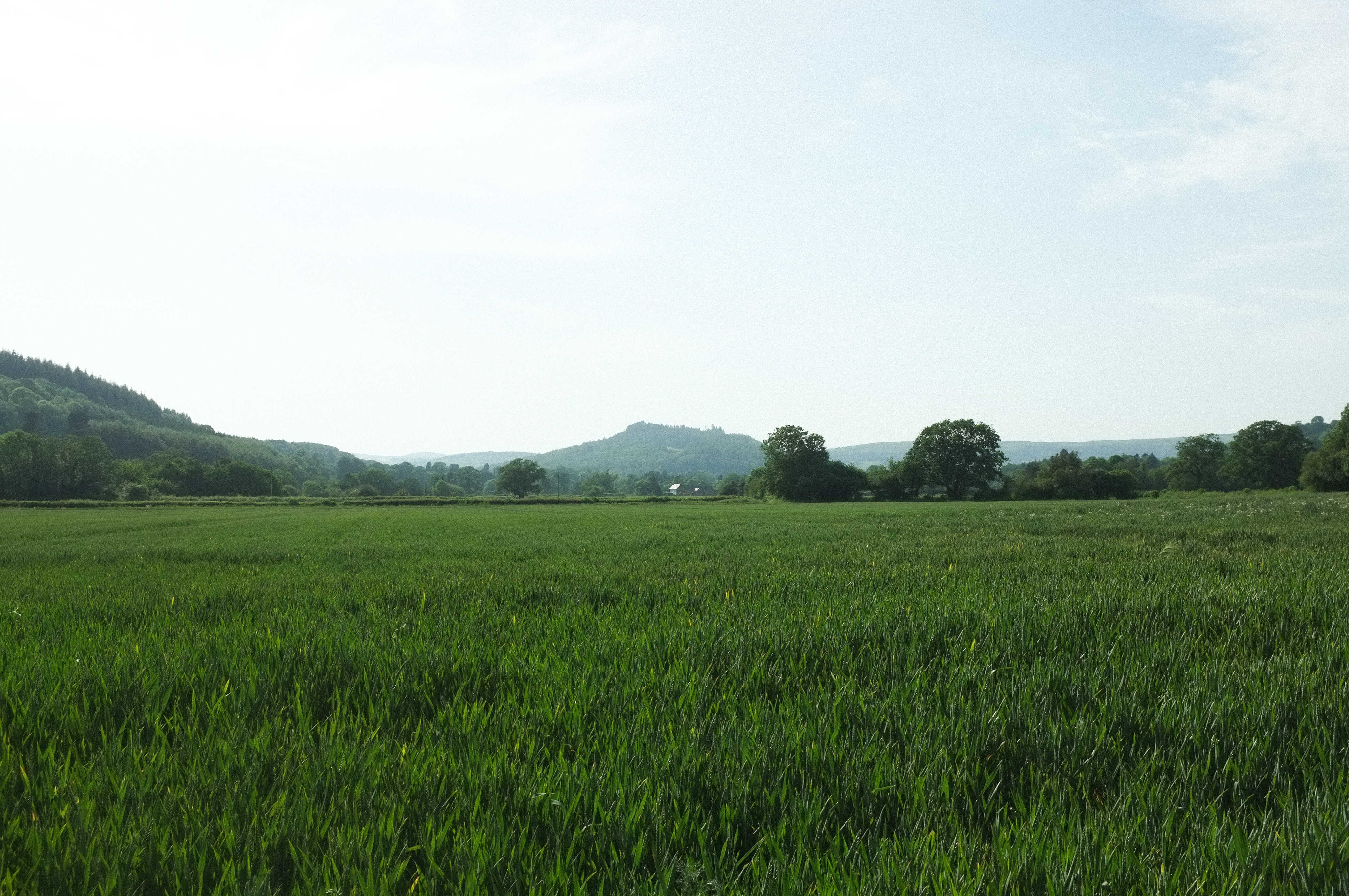 2026_wales/2026_wales_00017.jpg